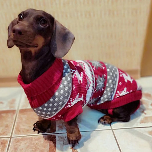 Sweater For Small Dogs | Kosmos Pets