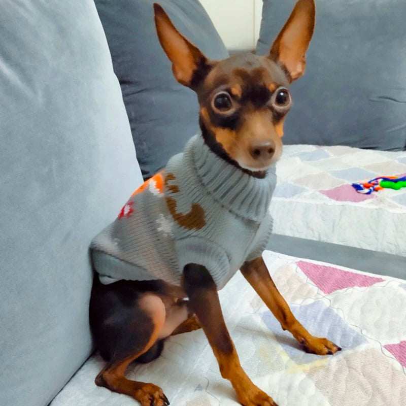 Sweater For Small Dogs | Kosmos Pets