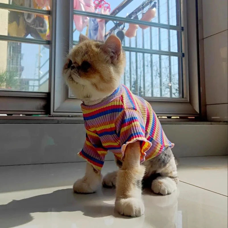 Spring Clothing For Cats | Kosmos Pets