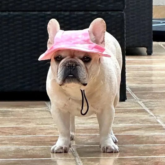 French Bulldog Hats | Kosmos Pets