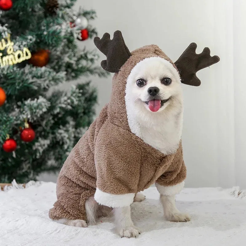 Christmas Clothes For Dogs | Kosmos Pets