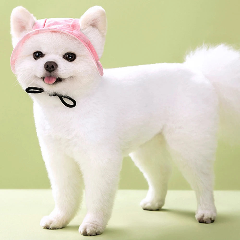 French Bulldog Hats | Kosmos Pets