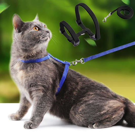 Cat Leash | Kosmos Pets