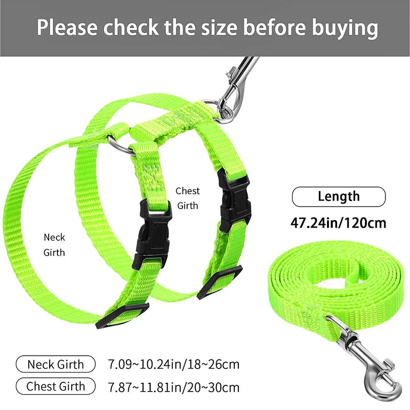 Cat Leash | Kosmos Pets