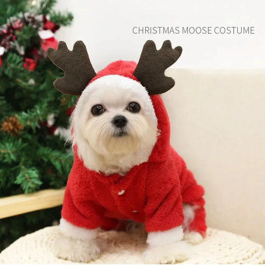 Christmas Clothes For Dogs | Kosmos Pets