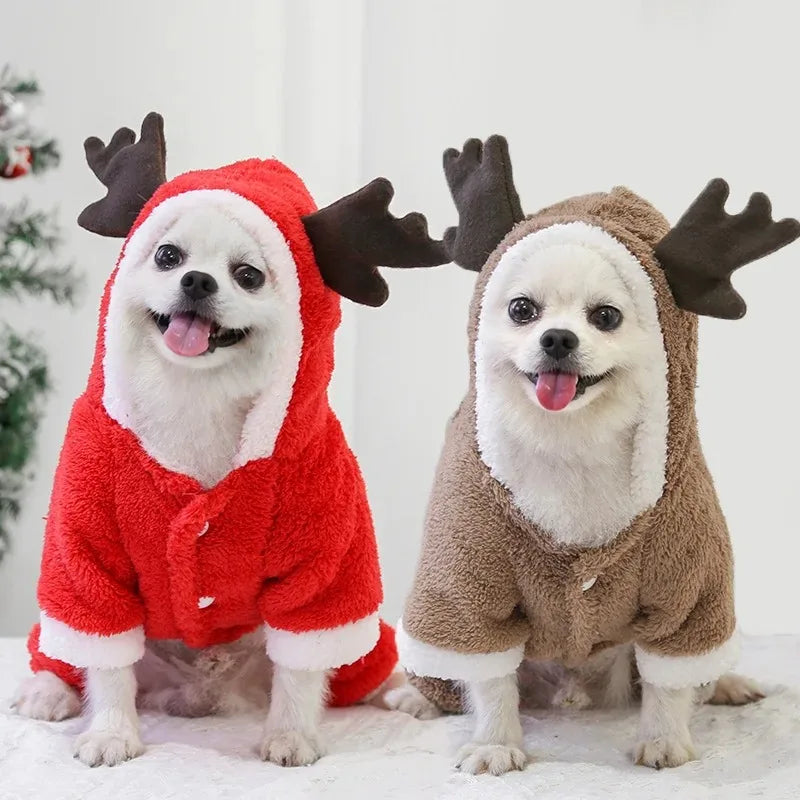 Christmas Clothes For Dogs | Kosmos Pets