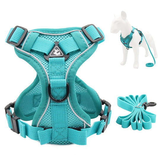 Reflective Dog Harness & Leash Set | Kosmos Pets